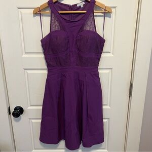 Purple SkaterDress with Lace Detail